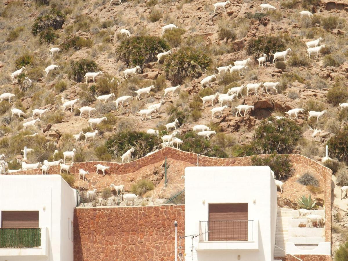La Loma Villa San José Eksteriør bilde